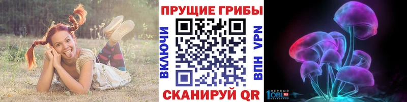 Галлюциногенные грибы мухоморы  дарнет шоп  Благодарный 