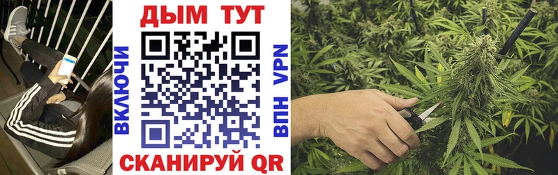 закладка  Благодарный  Каннабис OG Kush 